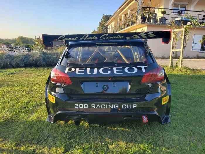 Peugeot 308 Racing Cup 330 HP 1