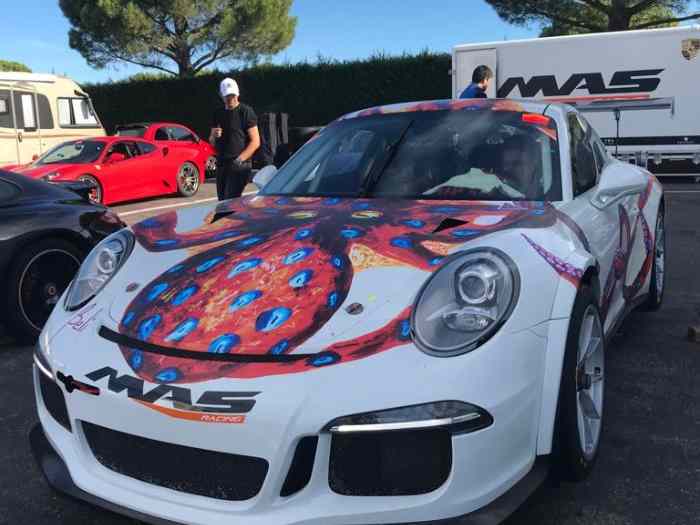 Porsche 991 GT3 Cup
