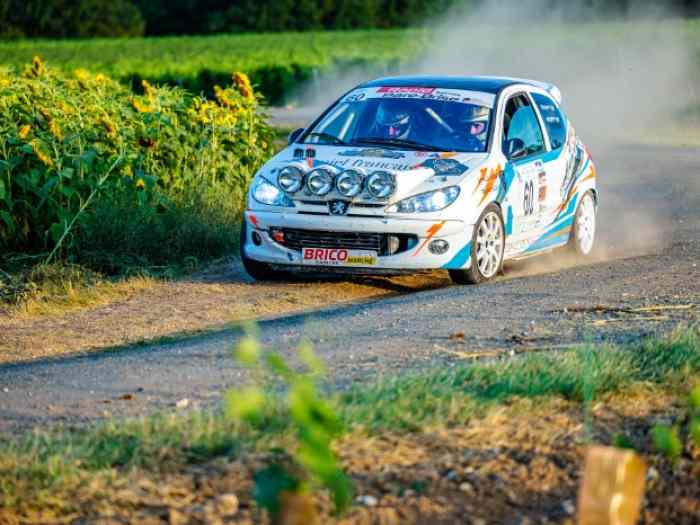 Peugeot 206 RC Groupe A A7 FRC4 1
