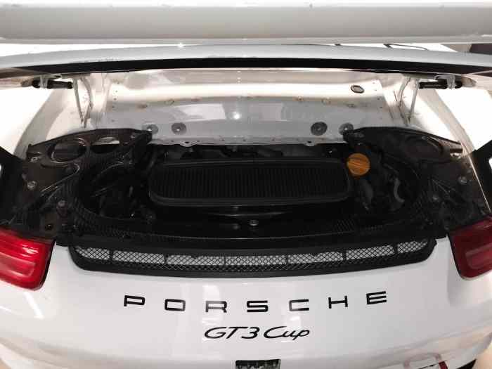 PORSCHE 991.1 GT3 CUP RALLY 2015 4
