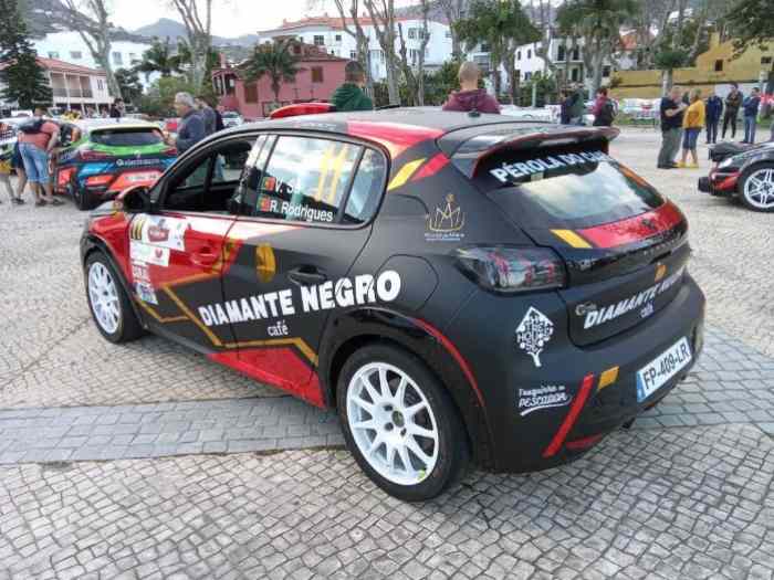 Peugeot 208 Rally 4 2