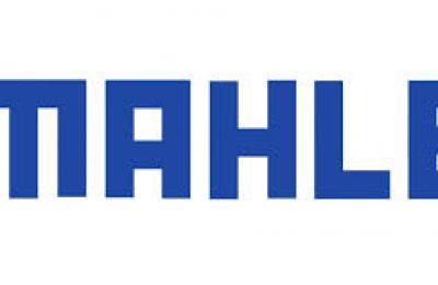 Segmentation origine MALHE clio 16s ou Williams 1