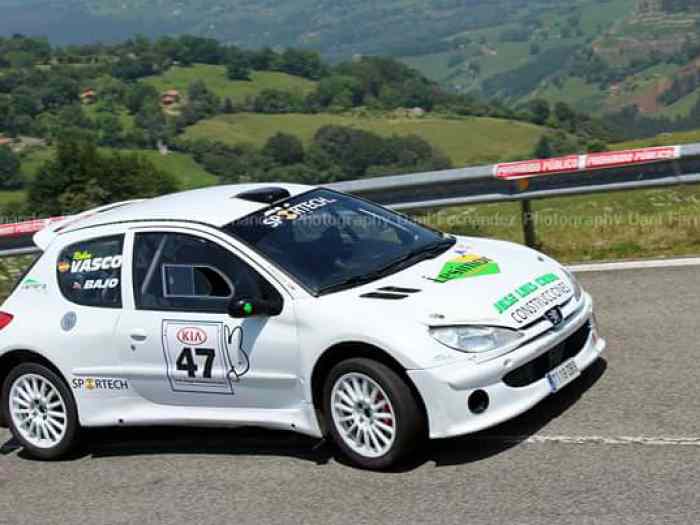 PEUGEOT 206 RC MAXI F2014 0