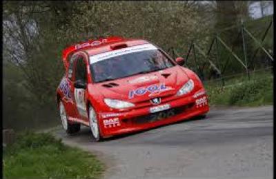 206 WRC 2002 4