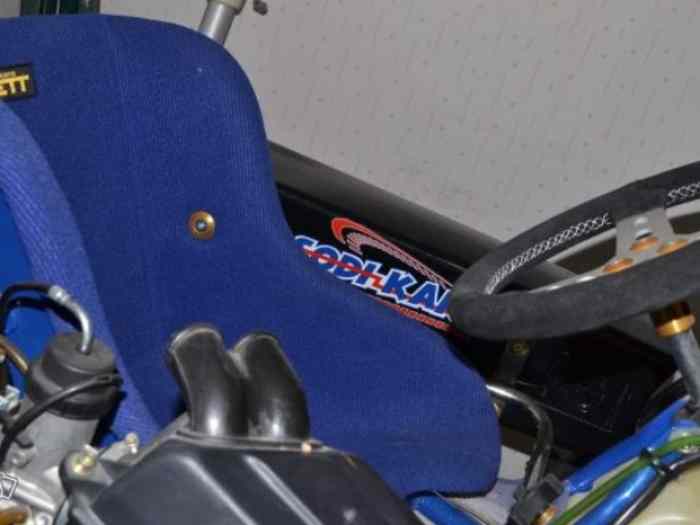 Karting 125cm3 rotax max Neuf 1