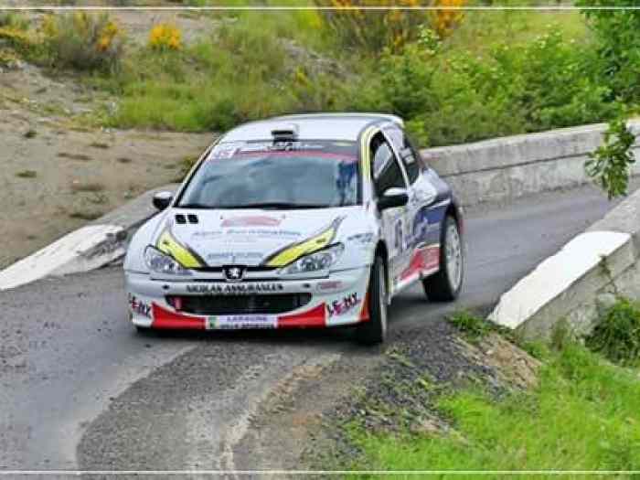 206 MAXI F2-14 301CV 0