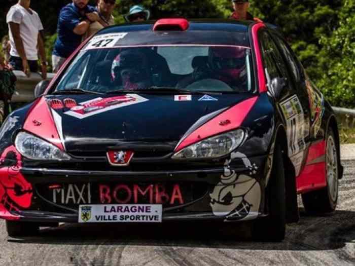 Peugeot 206 F2000 14 Maxi 4
