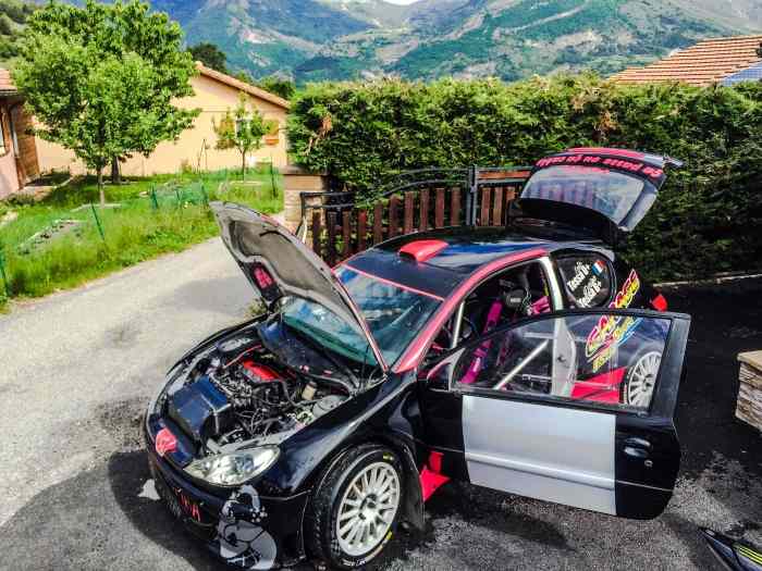 Peugeot 206 F2000 14 Maxi 0