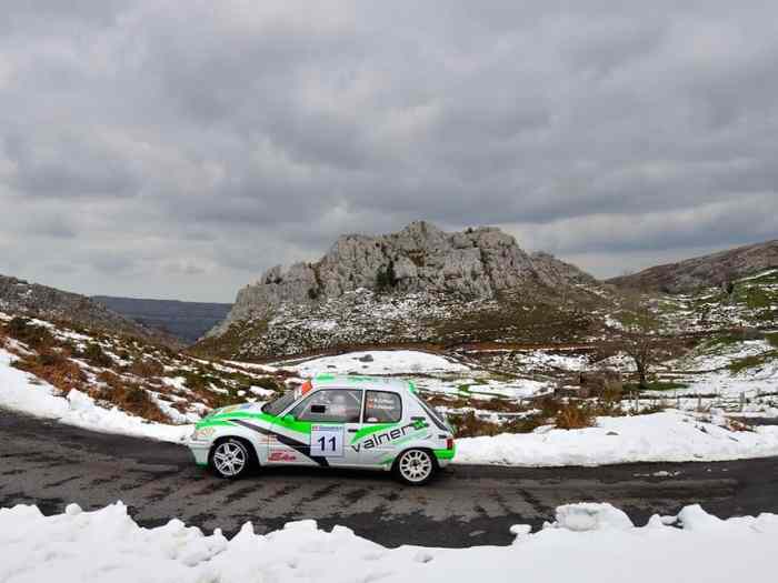 Peugeot 205 grupo A 2