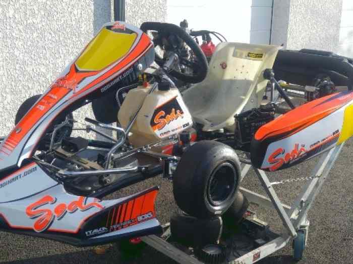 Sodikart Cadet 2015 - Moteur Rotax Mini Max 16,5Cv 1