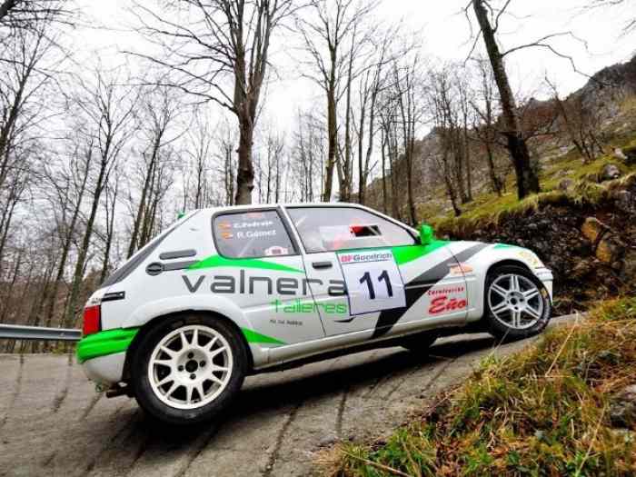 Peugeot 205 grupo A 1
