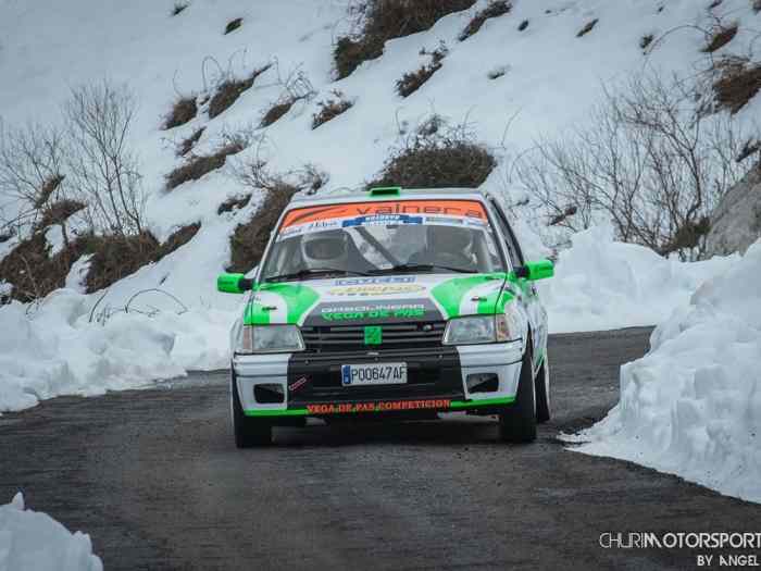Peugeot 205 grupo A 0