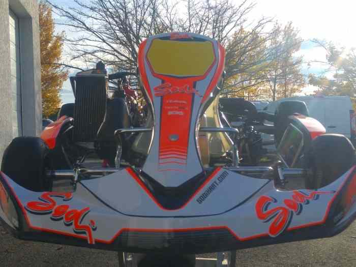 Sodikart Cadet 2015 - Moteur Rotax Mini Max 16,5Cv 0