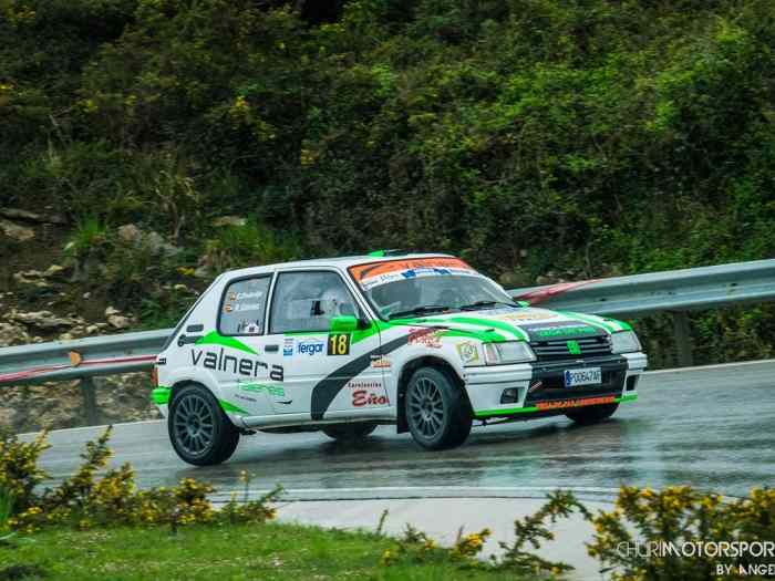 Peugeot 205 grupo A 4