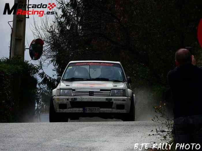 Peugeot 205 F2000 1