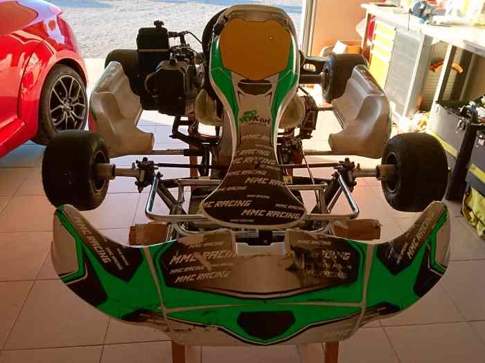 125 ROTAX MAX chassis EVO KART 2016 0