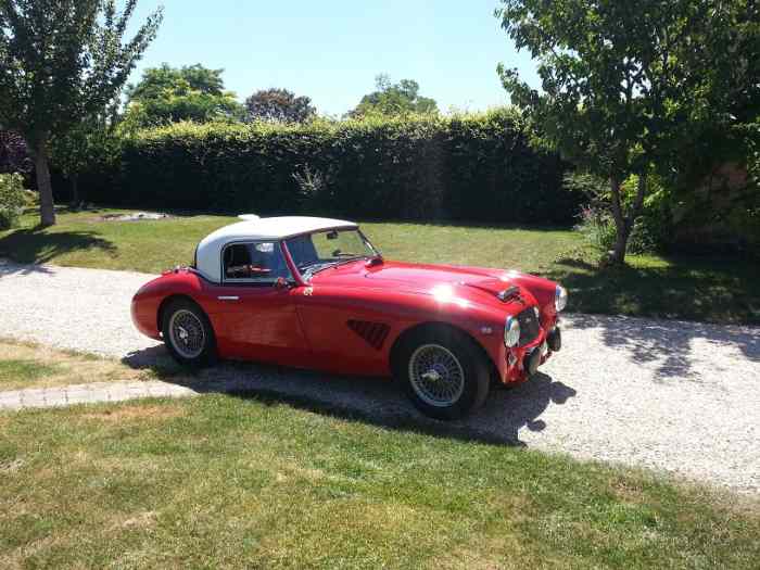 Austin Healey 3000 mk 2 2