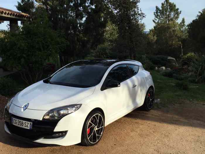 Megane 3 RS chassis cup 0