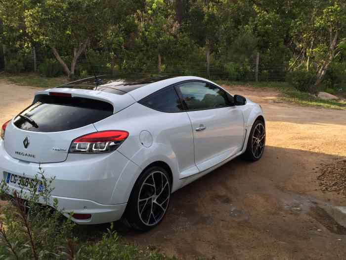 Megane 3 RS chassis cup 3