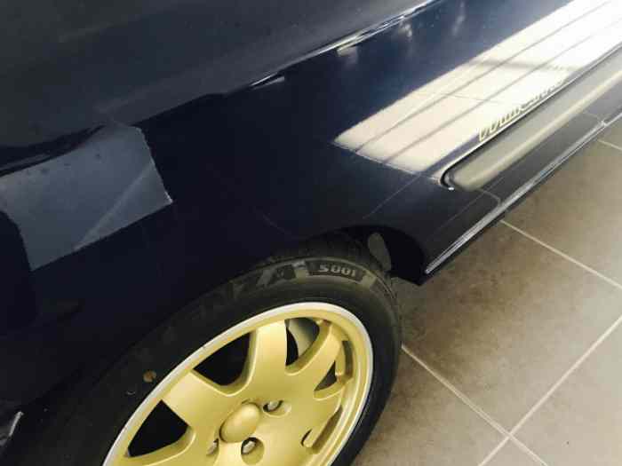 Clio williams swiss champion 5