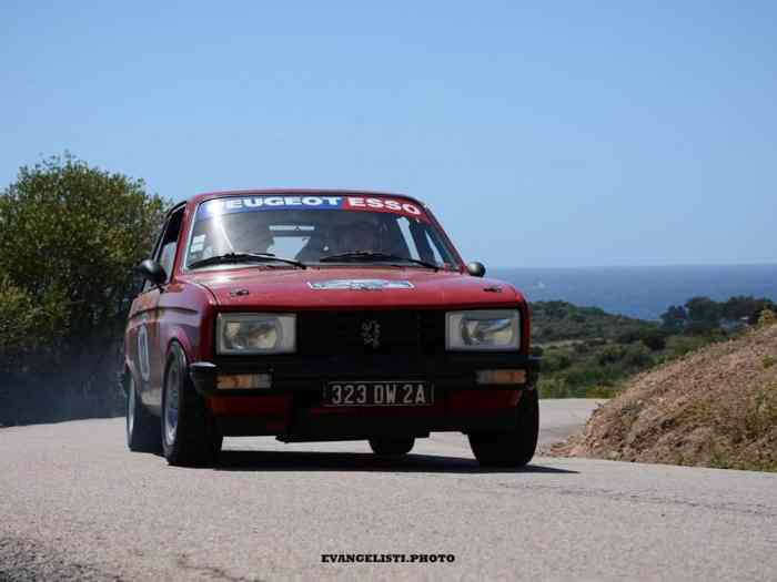 Peugeot 104 zs Groupe 2 0