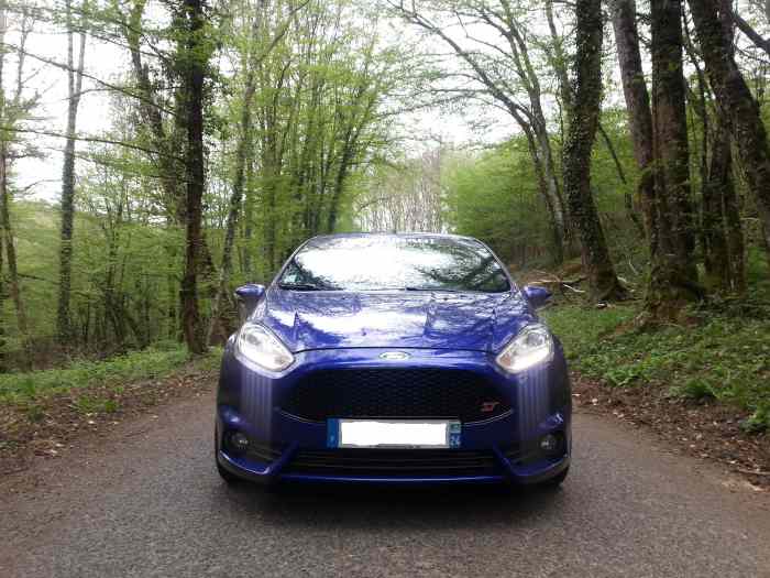 Ford Fiesta ST MK7 1