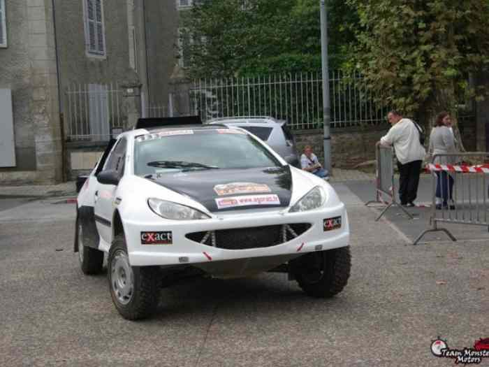 Vends Buggy Rivet 206 4 roues motrices T1A2 de 2009 4