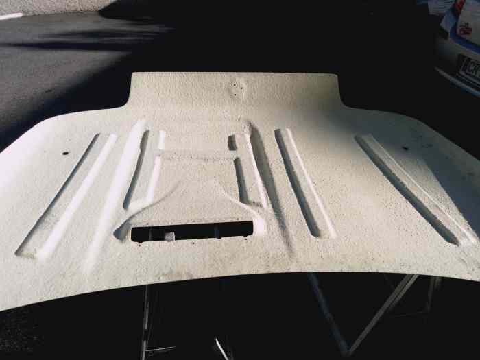 Capot Fibre Clio 16S et Williams 4