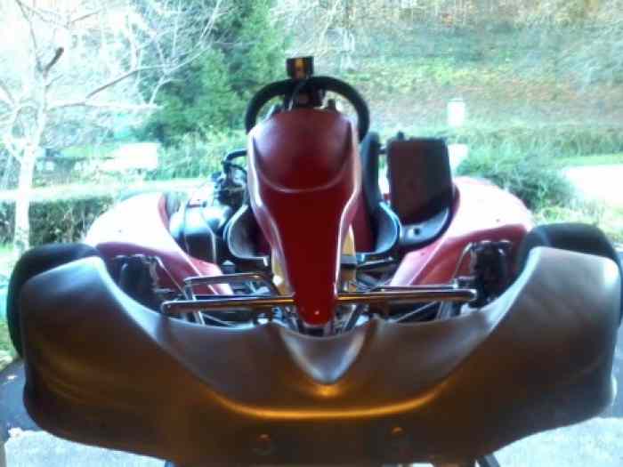 Rotax RM1 1