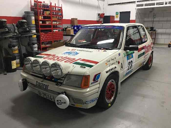 Peugeot 205 Rallye Groupe A PTS 2