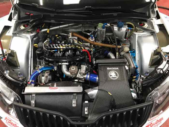 Skoda Fabia R5 4