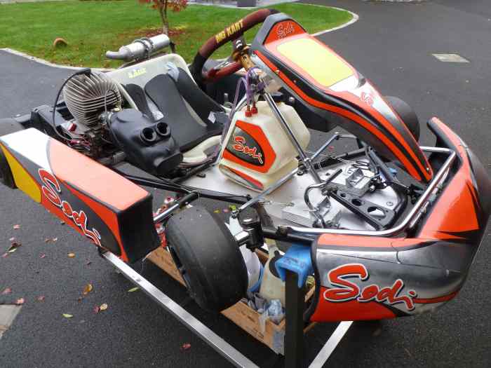 Karting IAME 100cc