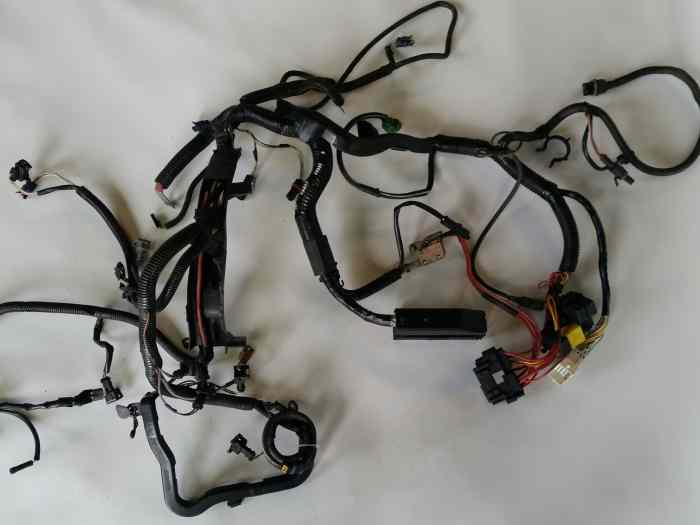 Faisceau moteur Renault sport