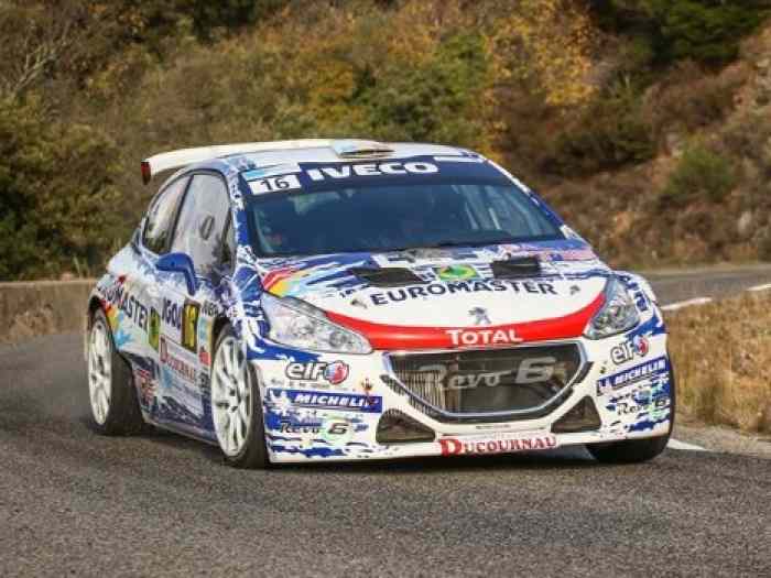 Peugeot 208 T16 R5 (Mauffrey Eric) 0