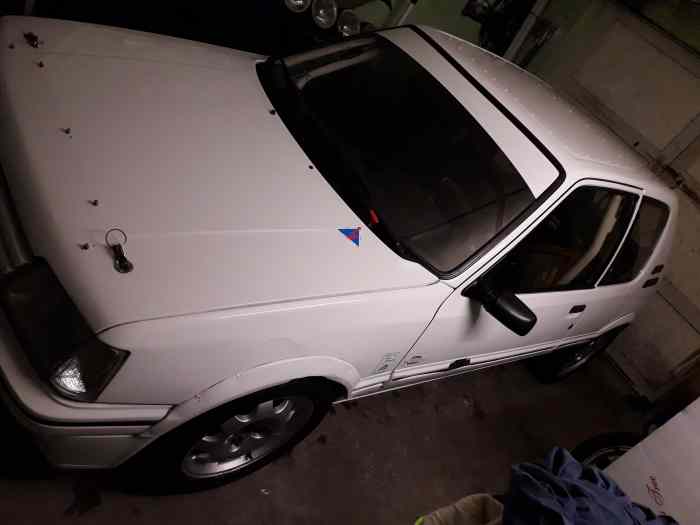 Peugeot 205 gti 2