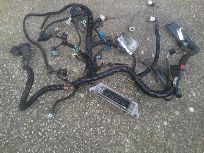 peugeot calculateur 306 s16 RS reprogrammer debloquer + faisseau 1