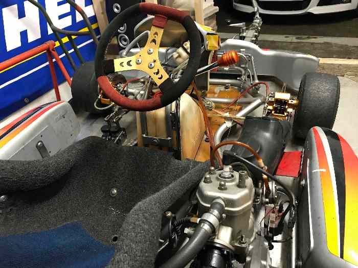 Karting 125cc à boite PAVESI + remorque sans permis 1
