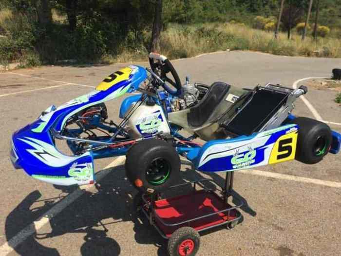 karting kz 125 tm k10b 0