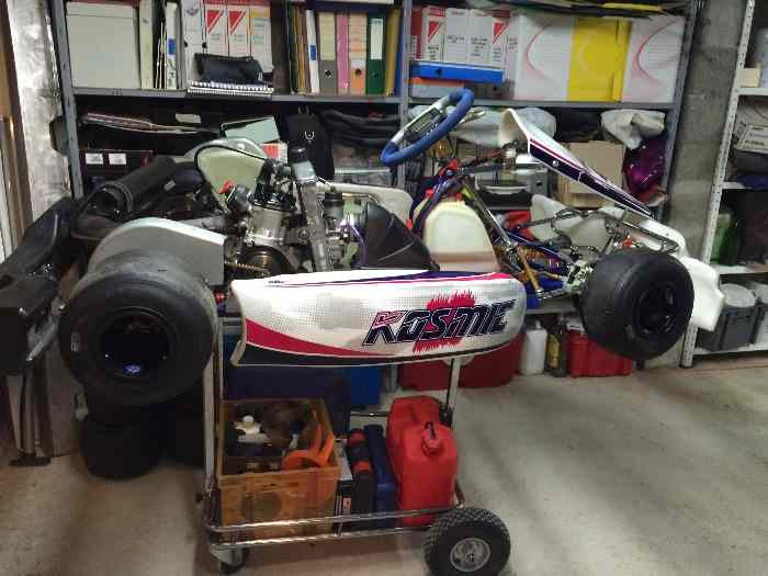 Kart kosmic mercury 2014 rotax max evo 1