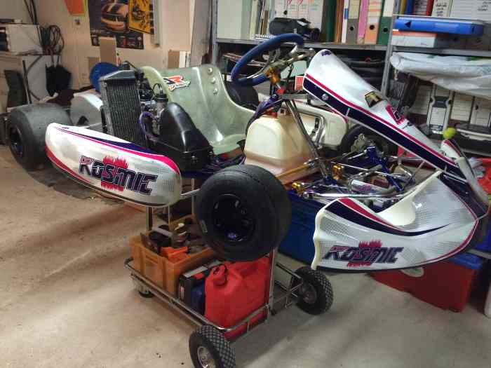 Kart kosmic mercury 2014 rotax max evo 0