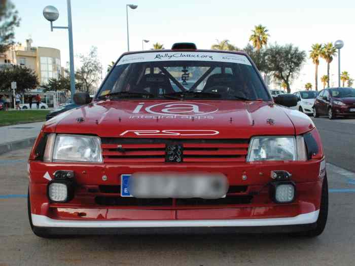 Peugeot 205 Maxi F2000-14 4