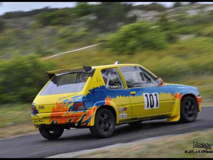 205 Rallye 4