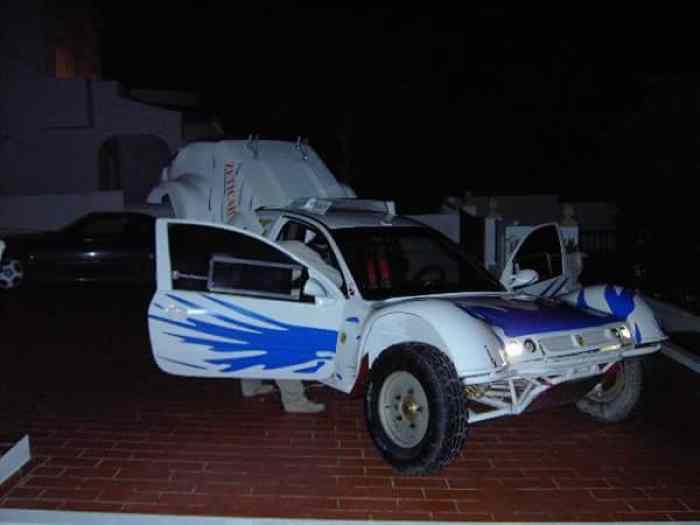 Rallye raid buggy 1