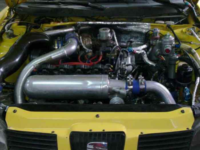 Injection WRC 4 papillons Turbo 16 VW 1