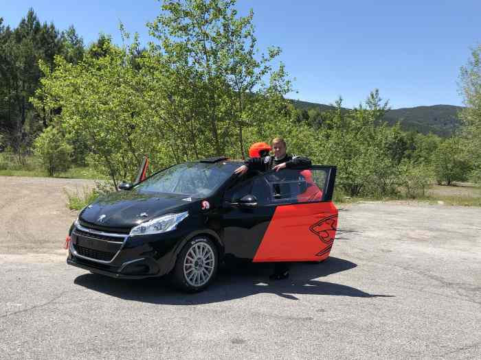 1er 208 F2014 en France 0