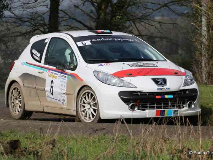 207 R3T MAX - pièces et voitures de course à vendre, de rallye et de ...