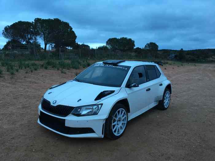 Skoda Fabia R5 à vendre