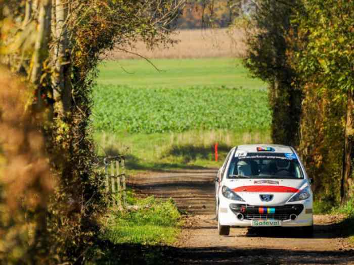 207 R3T MAX - pièces et voitures de course à vendre, de rallye et de ...