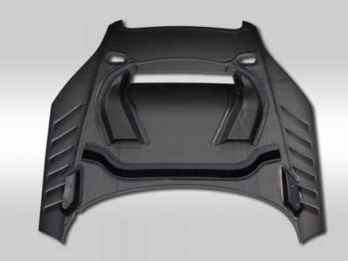 CAPOT CARBONE AUDI TT 8J MK2 3