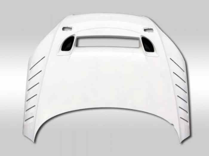CAPOT CARBONE AUDI TT 8J MK2 1